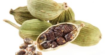 cardamomo proprietà benefici controindicazioni