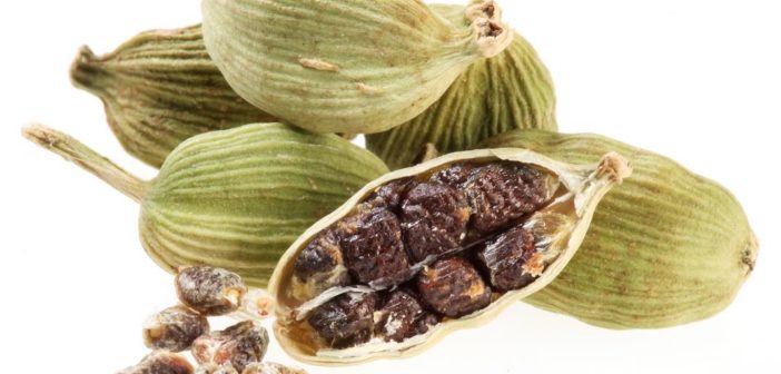 cardamomo proprietà benefici controindicazioni