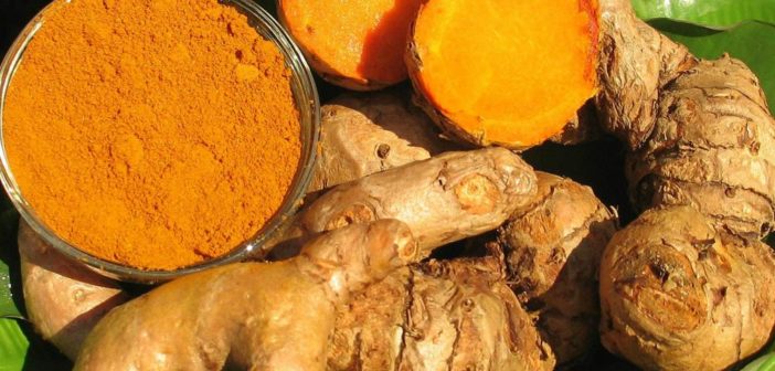 curcuma proprietà benefici calorie valori nutrizionali controindicazioni