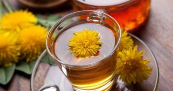 Tisane diuretiche - Scopri come preparare una buona tazza di tisana diuretica a base di tarassaco, finocchio, ortica e carciofi.