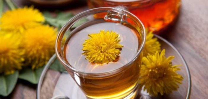 Tisane diuretiche - Scopri come preparare una buona tazza di tisana diuretica a base di tarassaco, finocchio, ortica e carciofi.