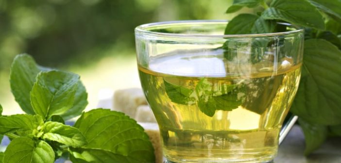 Tè verde: proprietà, benefici per la salute, utilizzi e controindicazioni. Scopri quali sono le proprietà benefiche del tè verde, perchè fa bene alla salute, come preparare una buona tazza di tè verde, le controindicazioni e se ci sono degli effetti collaterali dovuti ad un eccessivo consumo.