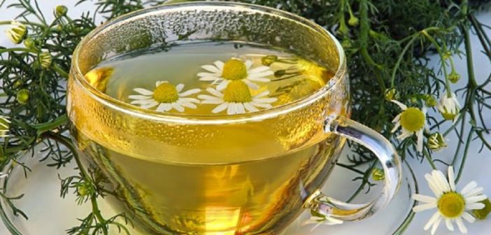 Tisane rilassanti - Scopri le ricette di tisane rilassanti e come preparare una buona tazza di tisana rilassante a base di camomilla, valeriana, malva, melissa, alloro e biancospino.