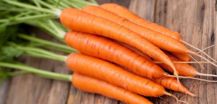 Carote: proprietà e benefici. Scopri le proprietà curative e terapeutiche della carota, i benefici per la salute, tutti gli utilizzi e le controindicazioni.