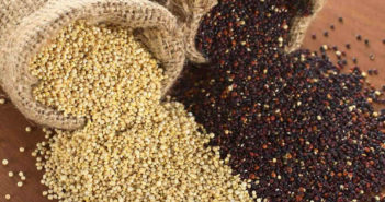 Quinoa proprietà benefici valori nutrizionali usi ricette e controindicazioni. Scopri le proprietà della quinoa, i benefici per la salute, i valori nutrizionali e le calorie, gli usi, alcune ricette con la quinoa e le controindicazioni