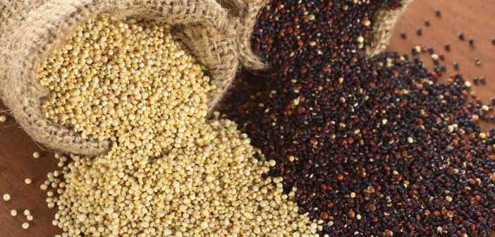 Quinoa proprietà benefici valori nutrizionali usi ricette e controindicazioni. Scopri le proprietà della quinoa, i benefici per la salute, i valori nutrizionali e le calorie, gli usi, alcune ricette con la quinoa e le controindicazioni