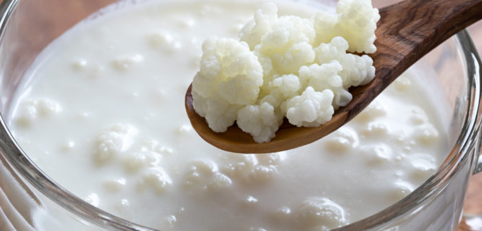 Kefir