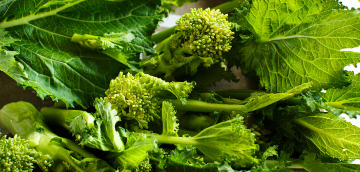 Cime di rapa