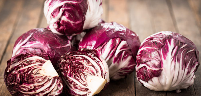 Radicchio