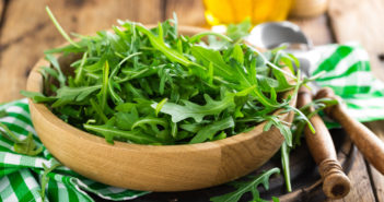 Rucola