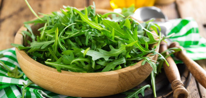 Rucola